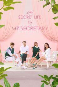 The Secret Life of My Secretary (2019)