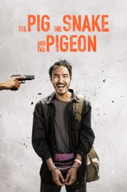 The Pig, the Snake and the Pigeon