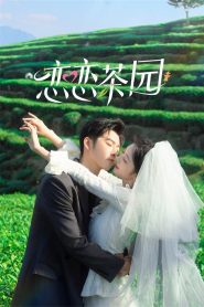 Love in the Tea Garden (2024)