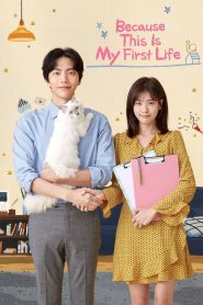 Because This Is My First Life (2017)