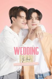 Wedding Plan (2023)