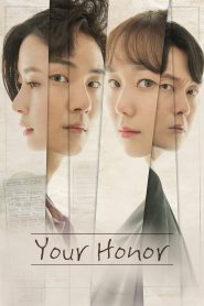 Your Honor (2018)