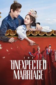 The Unexpected Marriage (2024)