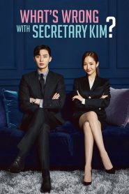 What’s Wrong With Secretary (2018)